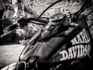 Harley Biker